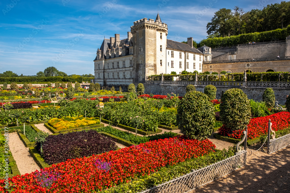 Beautiful vegetable garden with chateau Villandry on the background, Loire region, France.