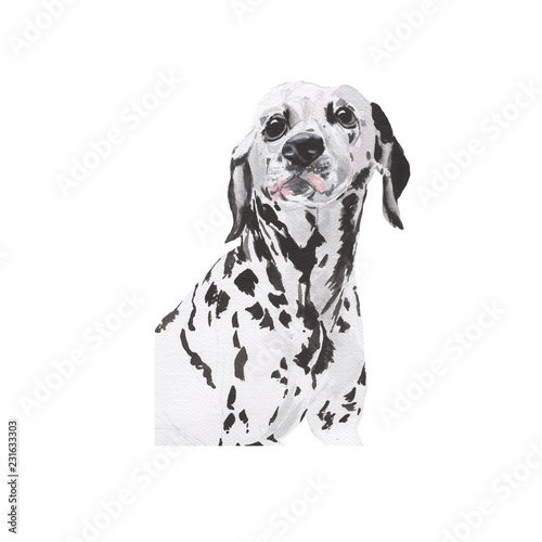 dog Hand drawn sketch and watercolor illustrations. Watercolor painting dog.dog Illustration isolated on white background.