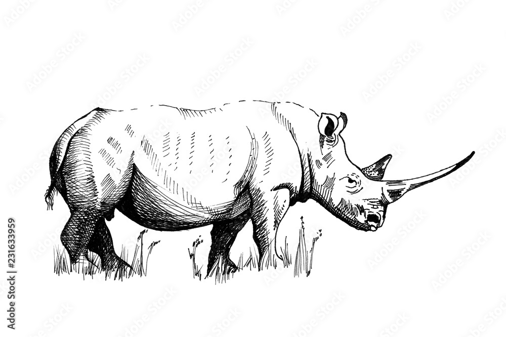 Fototapeta premium Rhino ręcznie rysowane ilustracje