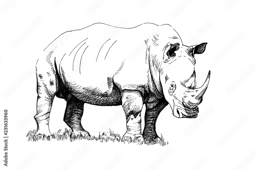 Obraz premium Rhino ręcznie rysowane ilustracje