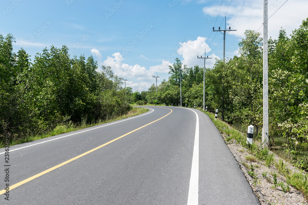 road with mangrove forest and beautiful sky to go to the sea in Thailand road with mangrove forest and beautiful sky to go to the sea in Thailand