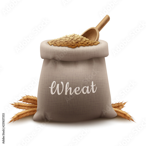 Realistic vector illustration sack of wheat grain with shovel and cereals spikelets isolated on white background
