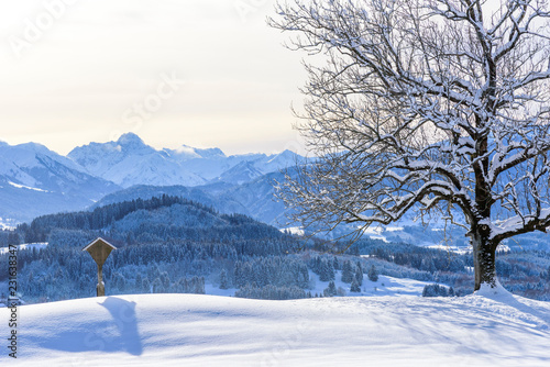 stimmungsvoller Winternachmittag im Oberallgäu