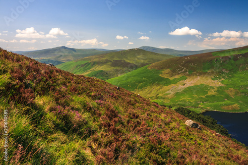 Scenic landscape of Wicklow Mountains in summer, Sally Gap, Ireland