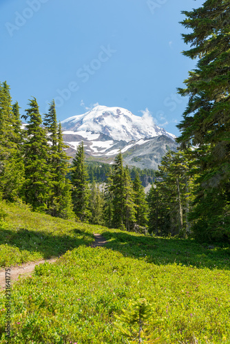 trampelpfad über grüne Wiese zu vergletschertem Berggipfel im Mt. Rainier National Park, Washington, USA