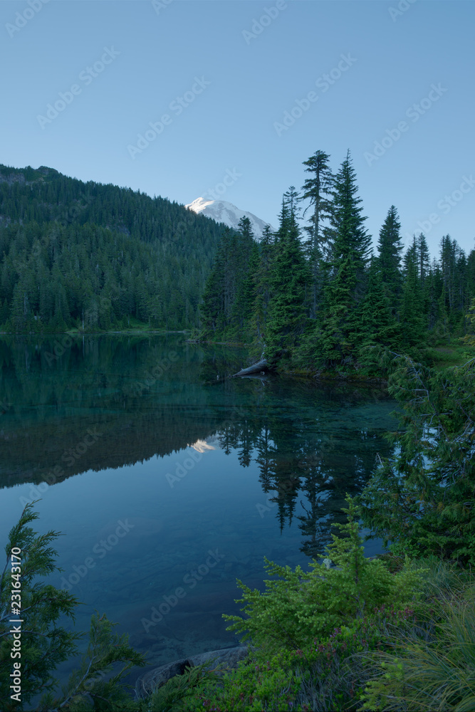 Ruhiger morgen mit perfekter reflexion von Mt. Rainier und bäumen auf Mowich See im Mt. Rainier National Park, Washington, USA