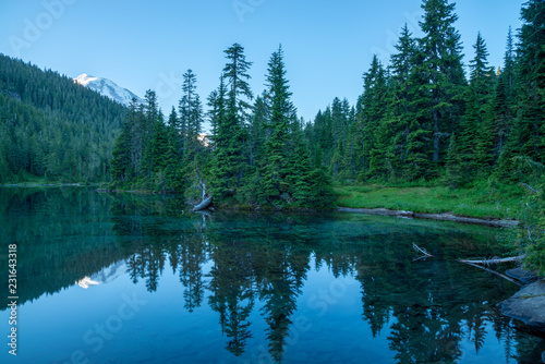 Fototapeta Naklejka Na Ścianę i Meble -  Ruhiger morgen mit perfekter reflexion von Mt. Rainier und bäumen auf Mowich See im Mt. Rainier National Park, Washington, USA