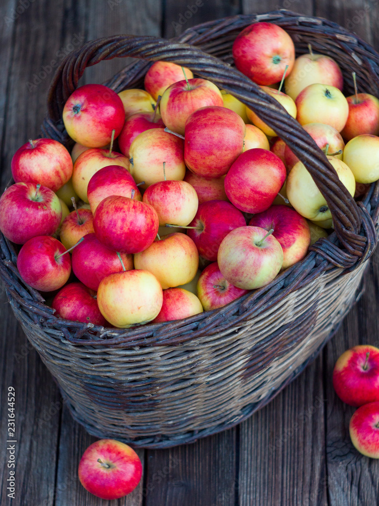Organic apples in basket in summer grass. Fresh apples in nature Organic apples in basket in summer grass. Fresh apples in nature
