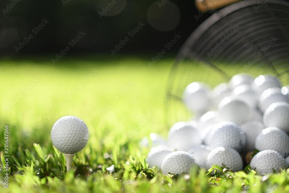 Tragetasche Golfball auf Tee und Golfbälle im Korb auf grünem Gras zum Üben  - Nikkel-Art.de
