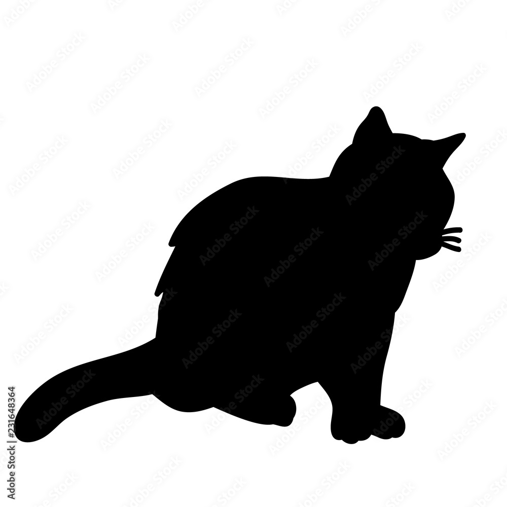 black silhouette cat sitting black silhouette cat sitting
