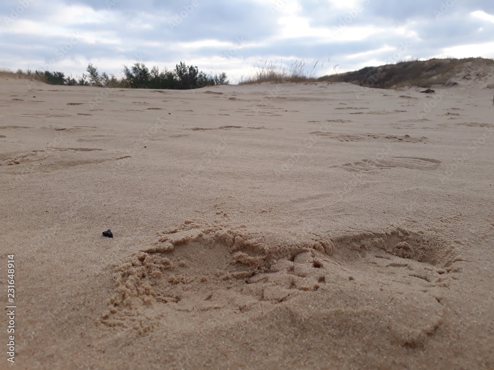 footprint in the sand footprint in the sand