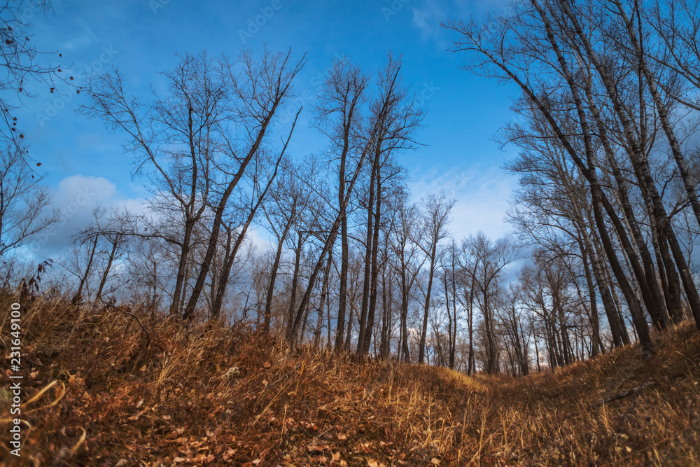 Bright colors of autumn nature, the charm of low-key beauty Bright colors of autumn nature, the charm of low-key beauty