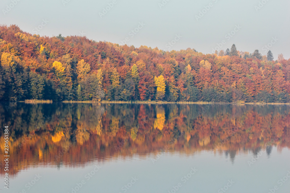 Obraz premium Beautiful, colorful autumn lake. Pomerania, Poland 