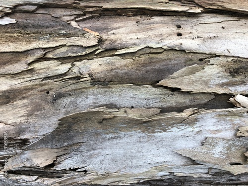 Background Wallpaper abstract Wall Hintergrund