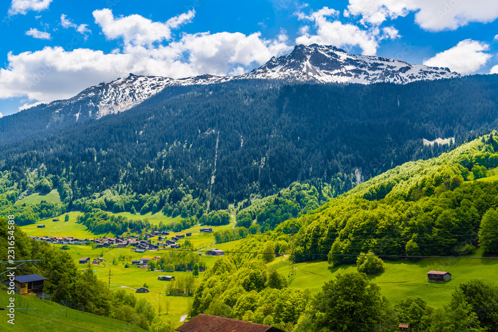 Fototapeta premium Forest in Alps mountains, Klosters-Serneus, Davos, Graubuenden,