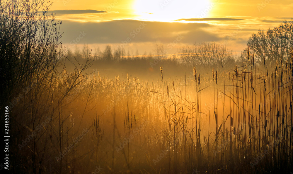 warm morning sun in England warm morning sun in England