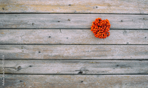 Canvas Print Rowan on wooden background