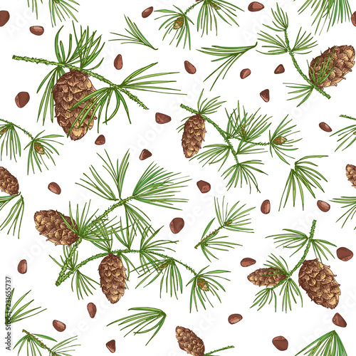 Seamless pattern with color cedar branches and pinecones isolated on white background Good idea for vintage Merry christmas card new year conifer tree decorative design Vector illustration.