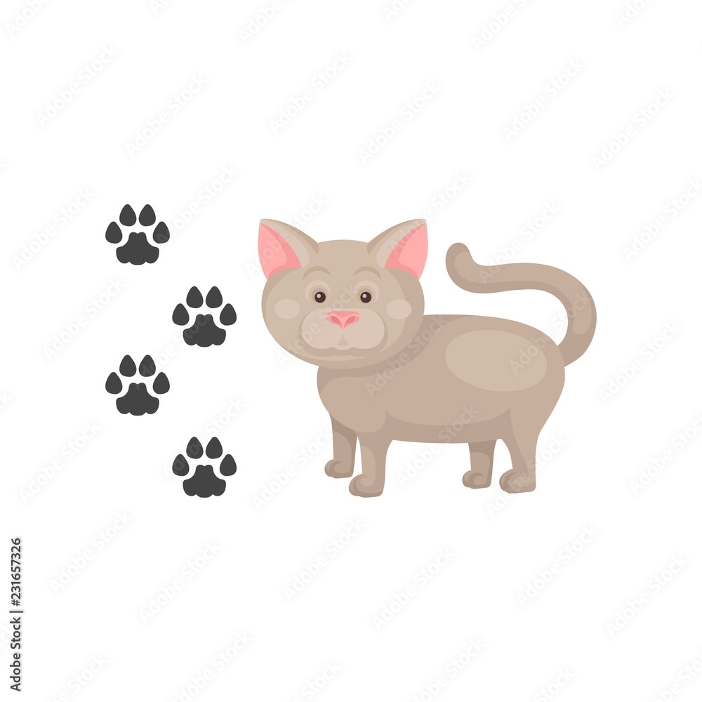 Funny cat and his footprints. Domestic animal. Home pet. Flat vector element for poster of zoo store or children book Funny cat and his footprints. Domestic animal. Home pet. Flat vector element for poster of zoo store or children book