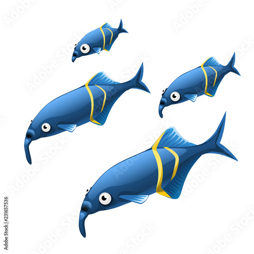 The growth stage of unusual Elephant nosed fish Gnathonemus petersi are isolated on a white background. Vector illustration.