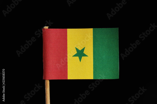 A official and original flag of Senegal on toothpick on black background. A vertical tricolour of green yellow and red with green star at the centre photo