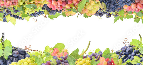 Grapes on a white background