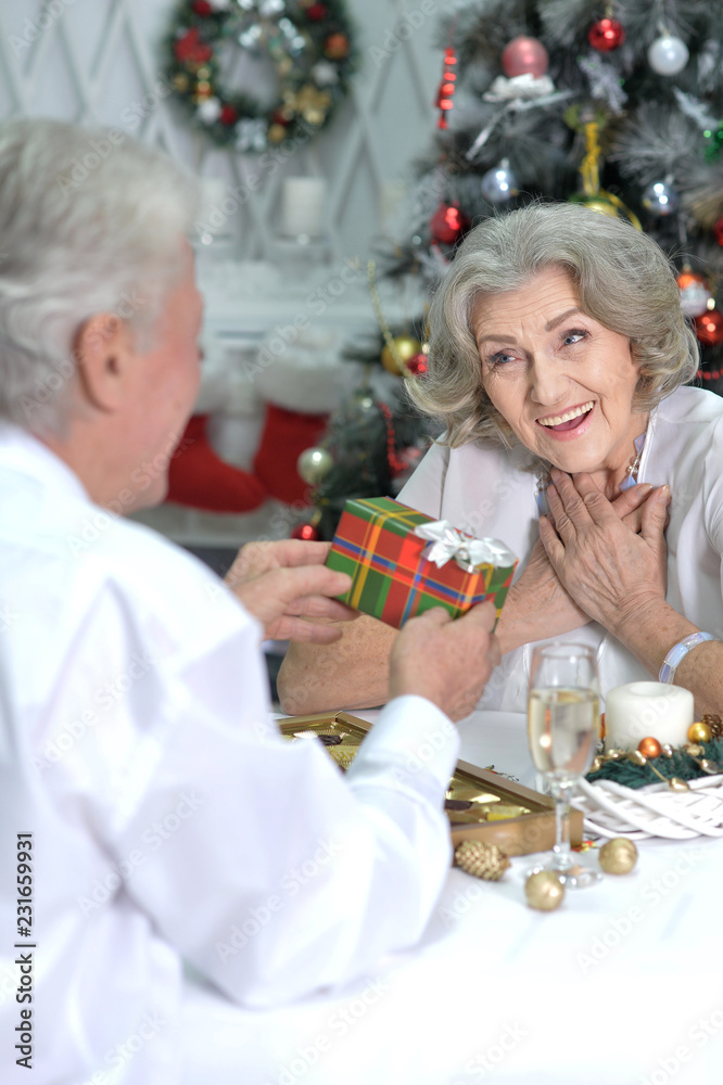 Portrait of a happy couple celebrating Christmas Portrait of a happy couple celebrating Christmas