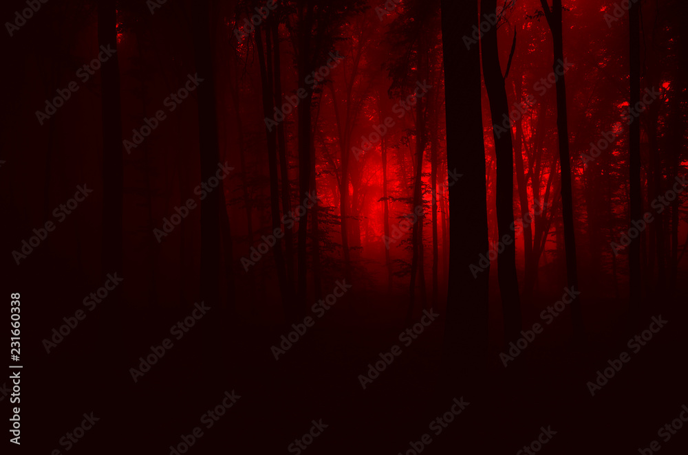 Cảnh đêm tối trong rừng đầy u ám, ánh đèn đỏ tinh tế và đầy mê hoặc. Nếu bạn muốn trải nghiệm một đêm trong rừng đầy kinh dị, hãy đến và xem những hình ảnh này. Đừng quên mang theo đèn pin và giữ một tinh thần sẵn sàng cho những điều bất ngờ.
