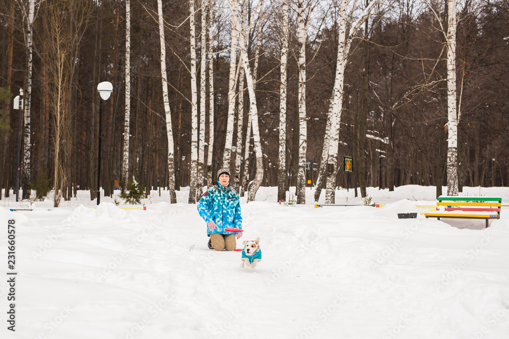 Jack Russell Terrier dog with owner woman playing in the winter outdoors. Jack Russell Terrier dog with owner woman playing in the winter outdoors.
