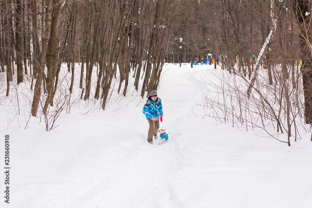 Pets owner and winter concept - Middle aged woman playing with her jack russell terrier dog in snowy park.