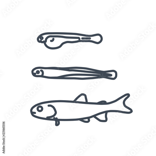 thin line icon larvae, juvenile, fry fish