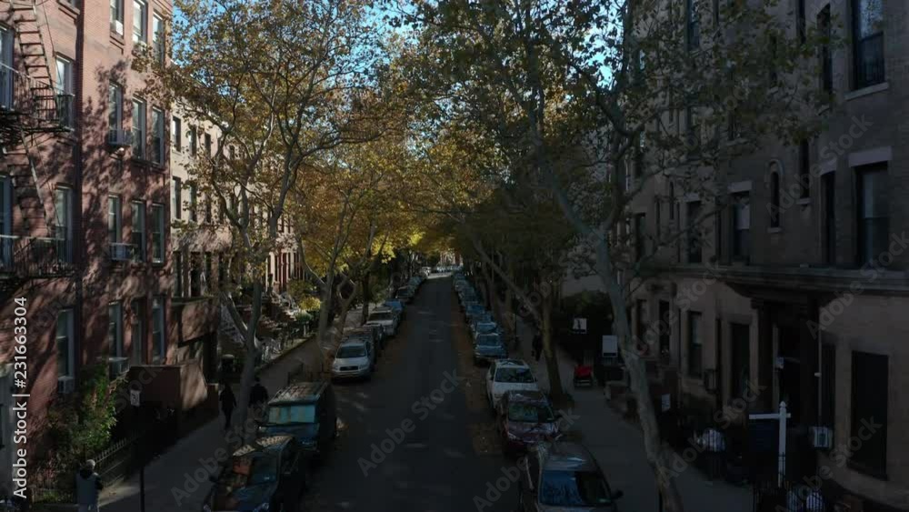 Autumn rising over middle of Brooklyn street Autumn rising over middle of Brooklyn street