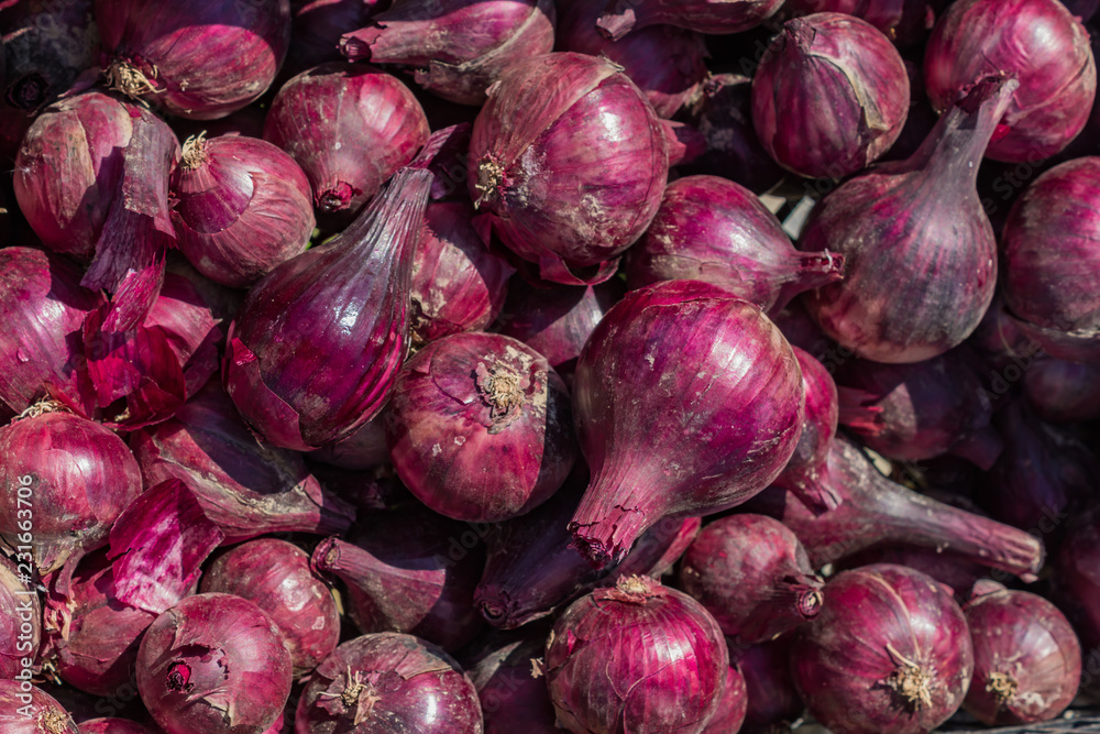 top view of fresh harvested red onion bulbs top view of fresh harvested red onion bulbs