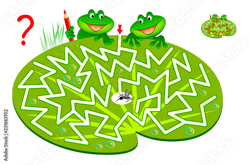 Logic puzzle game with labyrinth for children and adults. Help two hungry frogs find way to mosquito and draw the line. Vector cartoon image.