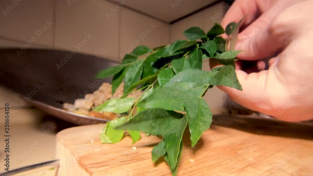 Fresh curry leaves still on stalk getting ready to be prepared in addition to home cooking Asian stir fry
