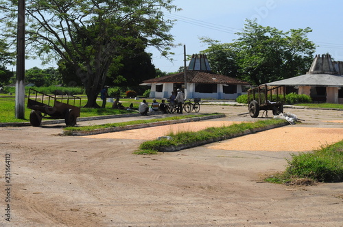 CUBA photo