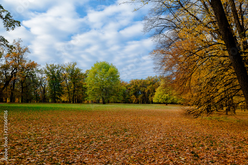 autumn park landscape design
