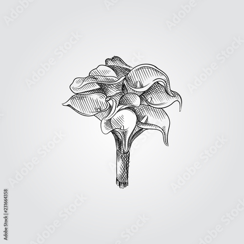 Hand Drawn Bridal bouquet Sketch Symbol isolated on white background. Vector of Wedding elements In Trendy Style. Calla Lily Flowers in sketch style