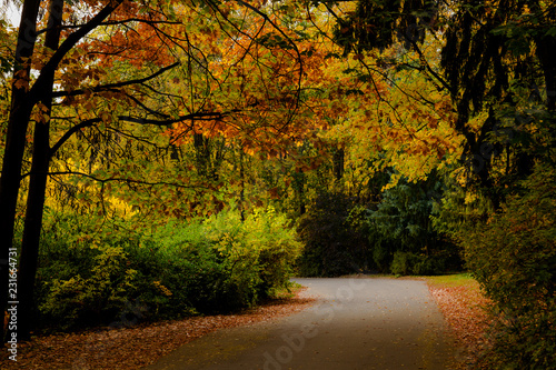 autumn park landscape design