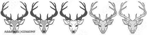 set stylized image of a deer head for your design, black and white, vector illustration