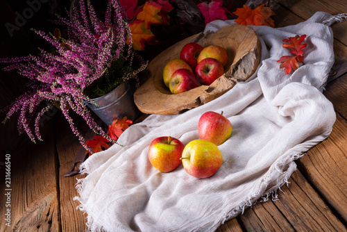 Malus sylvestris, the tasty European crab apple, photo