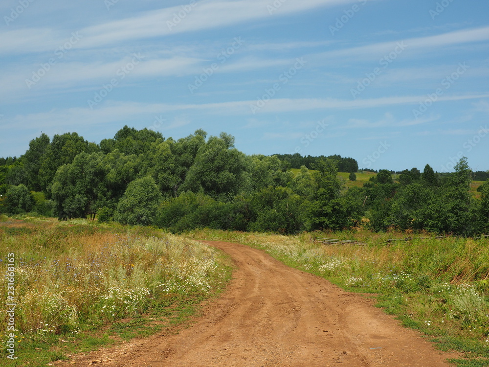 Field road. Russian summer nature. Russia, Ural, Perm region