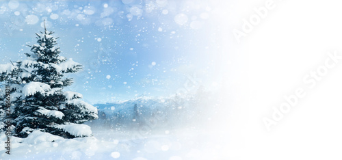 winter christmas background © Vitaly Krivosheev