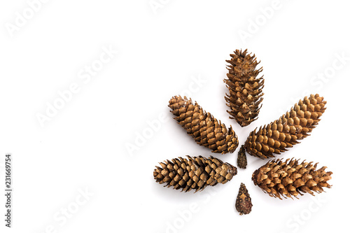 brown fir cone on a white background on New Year's Eve