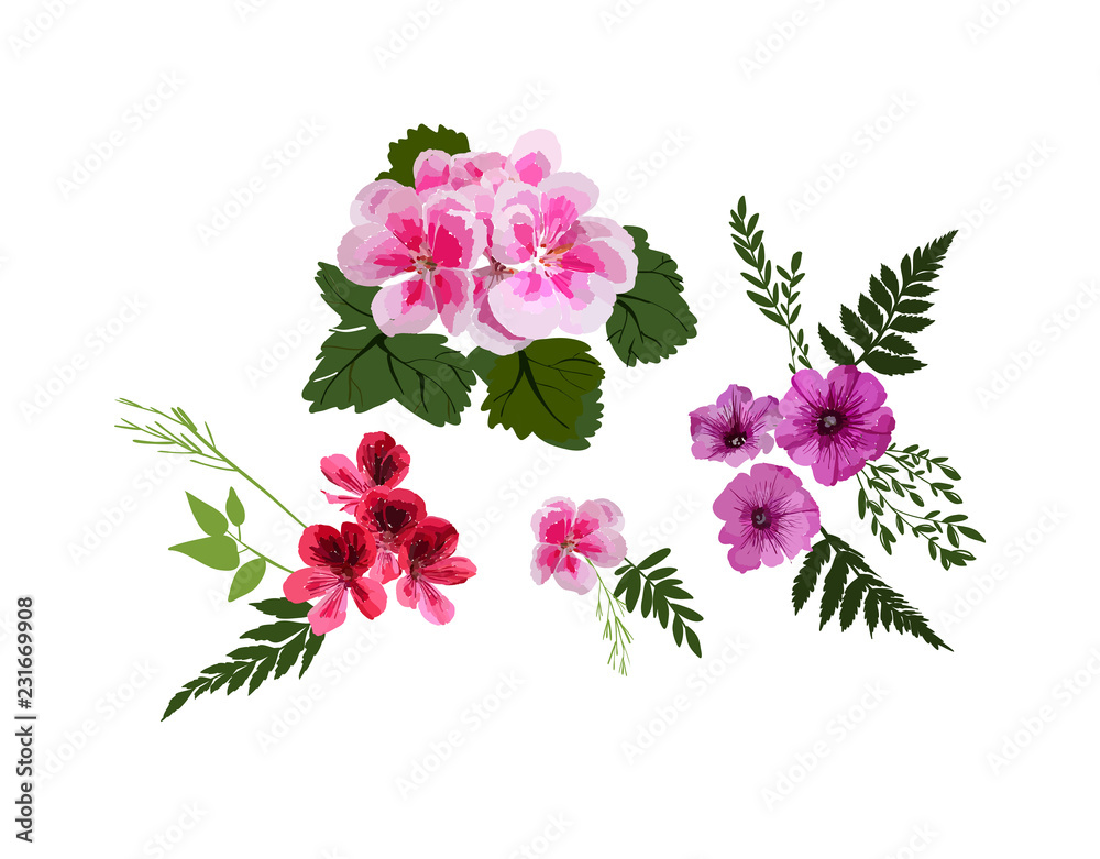 Set of Floral Greeting card with different garden flowers, botanical natural Illustration isolated on white backgroundn hand drawn style. Set of Floral Greeting card with different garden flowers, botanical natural Illustration isolated on white backgroundn hand drawn style.