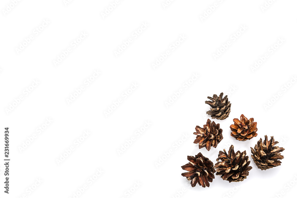 brown fir cone on a white background on New Year's Eve