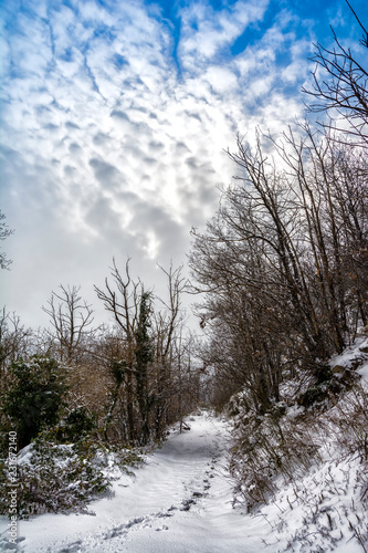 Sentiero in paesaggio invernale innevato in collina