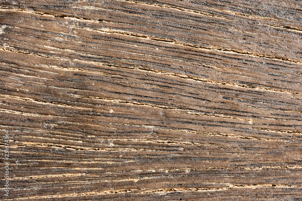 Fototapeta premium Wood patterned background on space