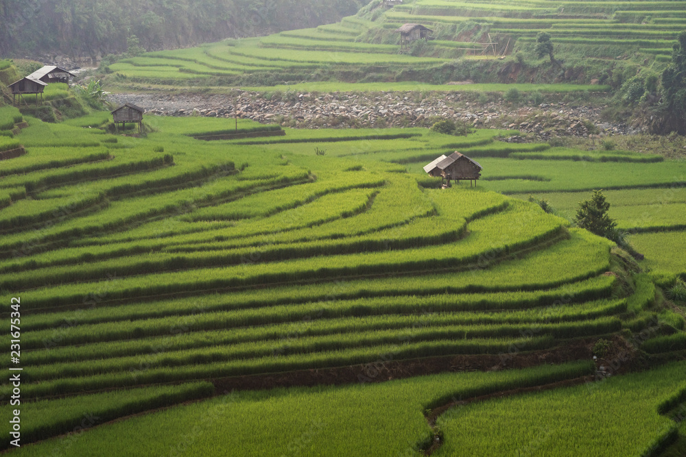 landscape rice fields on terraced of Mu Cang Chai, YenBai, Vietnam

