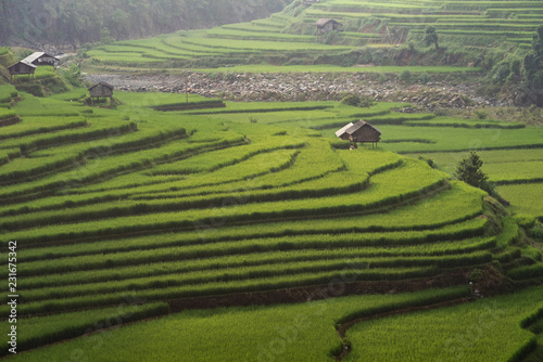 landscape rice fields on terraced of Mu Cang Chai, YenBai, Vietnam